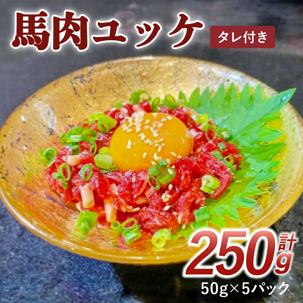 【ふるさと納税】【数量限定】 馬肉 ユッケ 250g 50g×5パック タレ付き