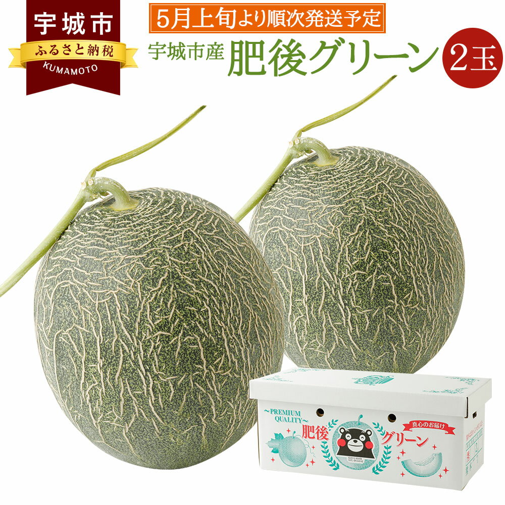 【ふるさと納税】 宇城市産 肥後グリーン 2玉 フレッシュダイレクト ※1玉当たり 1.3kg～2kg メロン 2個 2つ くだもの 果物 フルーツ 冷蔵 熊本県産 国産 送料無料 【5月上旬～7月下旬発送予定】