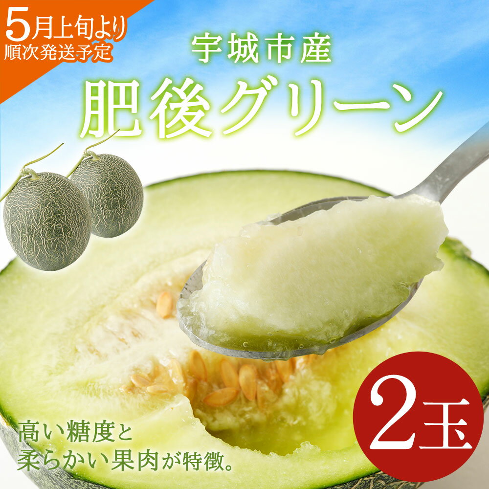 【ふるさと納税】 宇城市産 肥後グリーン 2玉 フレッシュダイレクト ※1玉当たり 1.3kg～2kg メロン 2個 2つ くだもの 果物 フルーツ 冷蔵 熊本県産 国産 送料無料 【5月上旬～7月下旬発送予定】