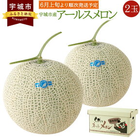 【ふるさと納税】 宇城市産 アールスメロン 2玉 フレッシュダイレクト ※1玉当たり 1.3kg～2kg メロン 2個 2つ くだもの 果物 フルーツ 冷蔵 熊本県産 国産 送料無料 【6月上旬～7月下旬発送予定】