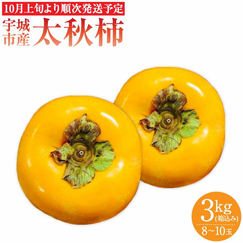 柿 【ふるさと納税】宇城市産 太秋柿 約3kg フレッシュダイレクト ※8玉～10玉入り ※箱、風袋込の重量 柿 カキ かき たいしゅうがき 大秋柿 くだもの 果物 フルーツ 冷蔵 熊本県産 国産 送料無料 【10月上旬～11月上旬発送予定】