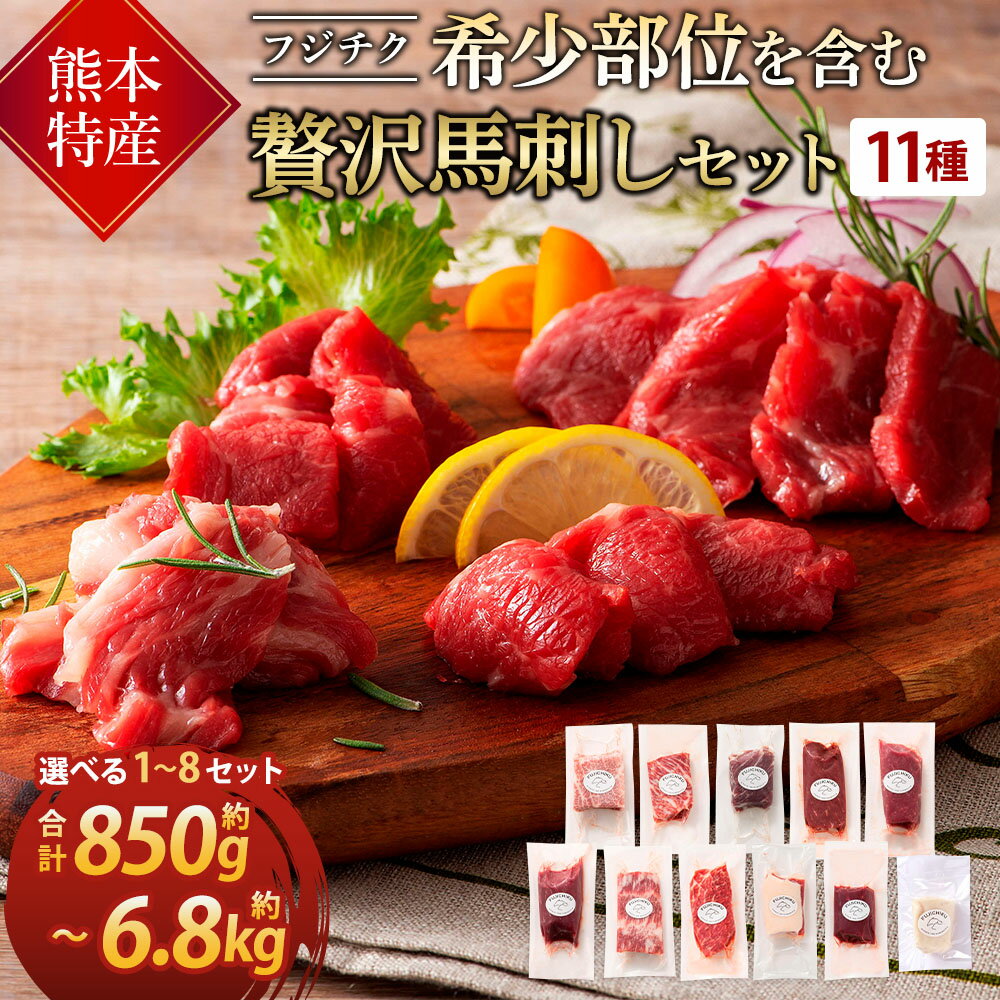 馬刺し 希少部位を含む贅沢セット 11種 熊本特産! [選べる容量]合計 約850g〜6,800g フジチク メン 大トロ 中トロ ヒレ ロース ランプ チョーチン イチボ フタエゴ 上赤身 コウネ たれ付き 熊本 馬刺 馬肉 ばさし 冷凍 送料無料