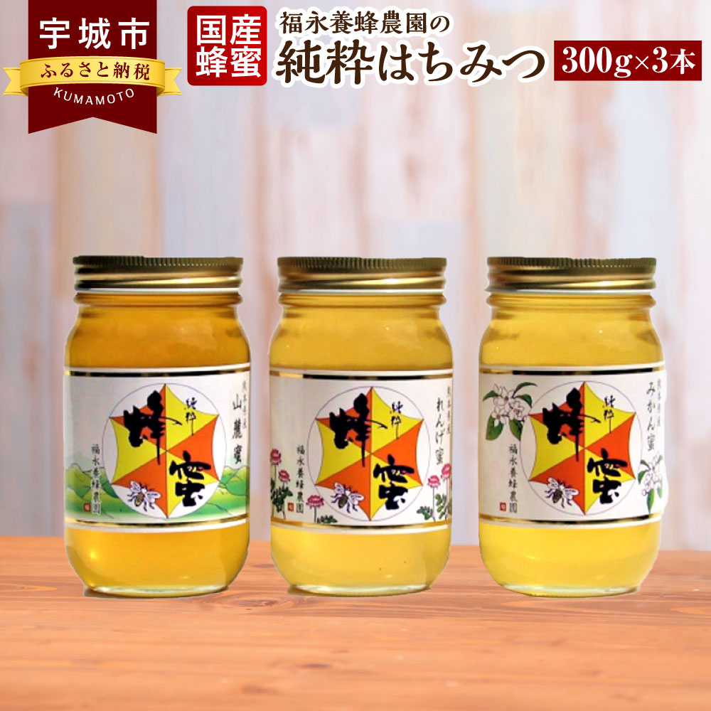 充実の品 国産蜂蜜 長野県産 300g×2