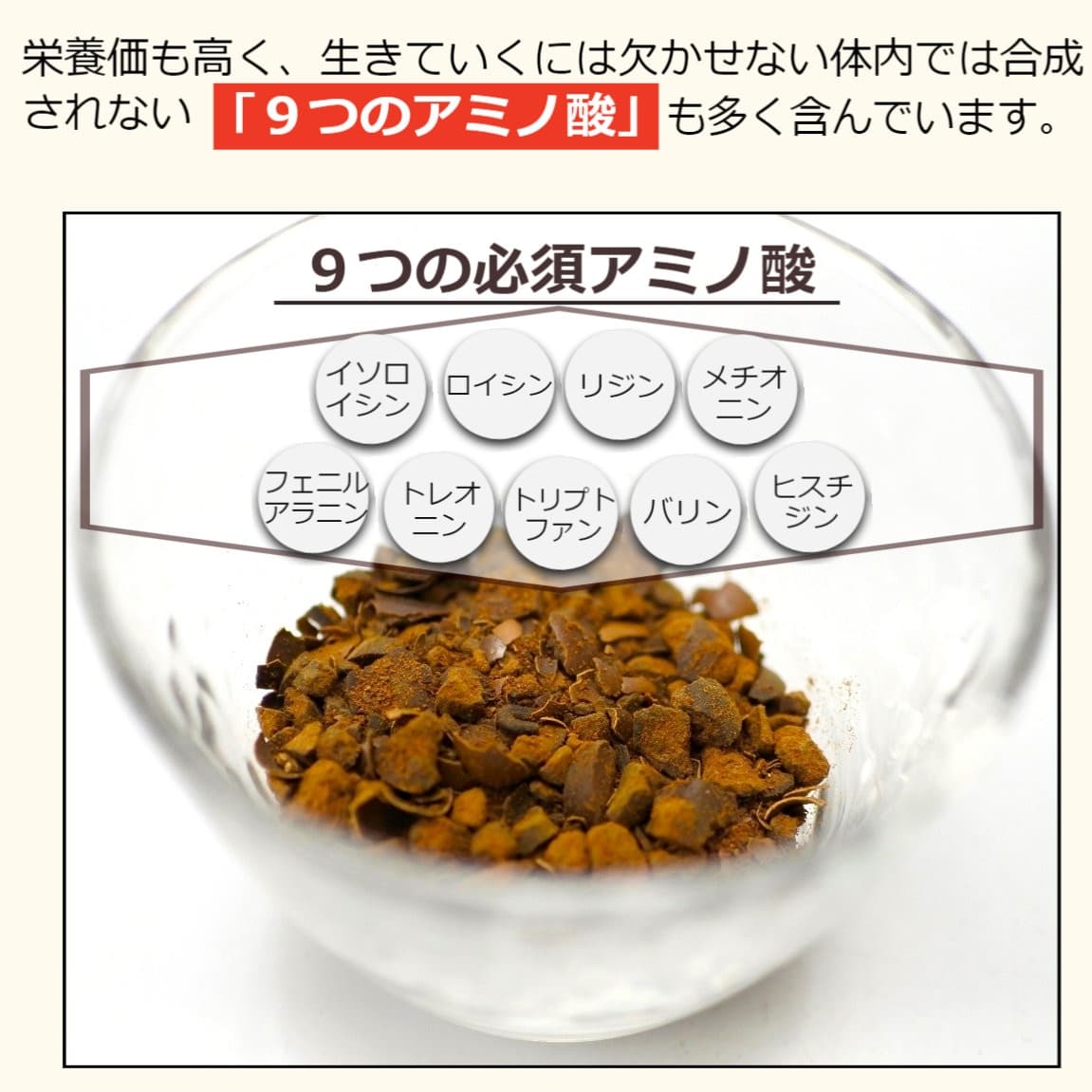 熊本県宇城市の画像3