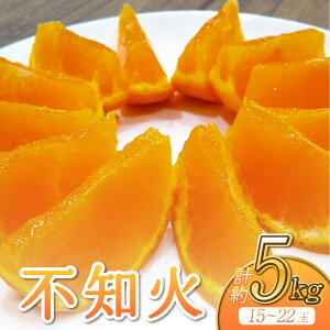 【ふるさと納税】 先行予約 不知火 約5kg (15〜22玉前後)【2026年3月上旬〜4月下旬発送予定】 しらぬい 柑橘類 みかん ミカン 蜜柑 果物 フルーツ 宇城市産 熊本県産 九州産 ひがし果樹園
