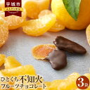 10位! 口コミ数「1件」評価「5」ひとくち不知火フルーツチョコレート 3袋入(1袋58g入) 計174g ドライフルーツ チョコがけ チョコレート チョコ チョコレート菓子 ･･･ 