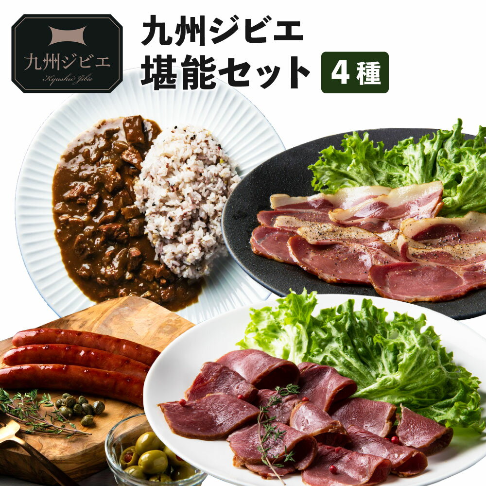 九州ジビエ堪能セット( ハム2種・ソーセージ・カレー )ジビエ イノシシ 猪肉 肉 スモーク ハム 燻製 カレー レトルト 惣菜 おつまみ セット 食べ比べ 詰め合わせ 宇城市 熊本県産 九州 国産 送料無料