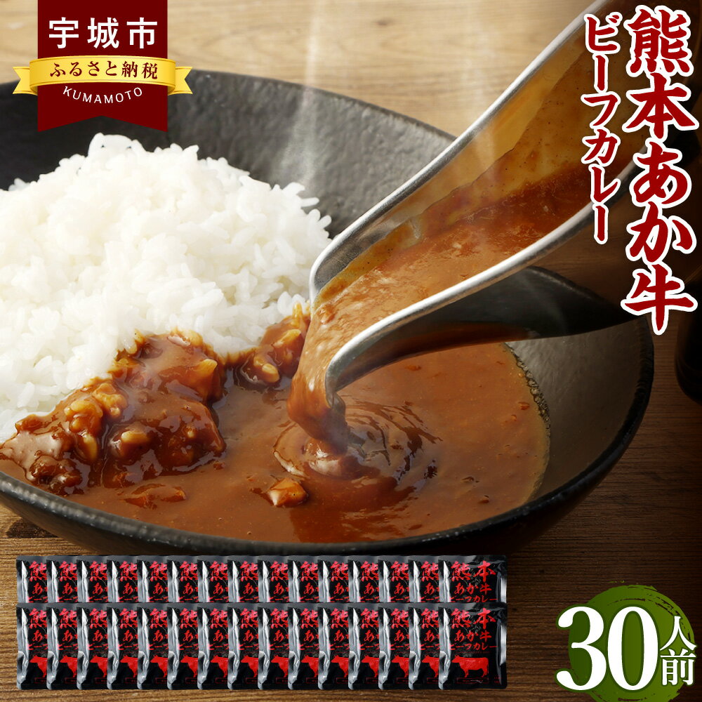 17位! 口コミ数「0件」評価「0」熊本県産あか牛使用 くまもとあか牛 ビーフカレー 30人前 （160g×30袋※合計4,800g） カレー レトルトカレー ビーフカレー あ･･･ 