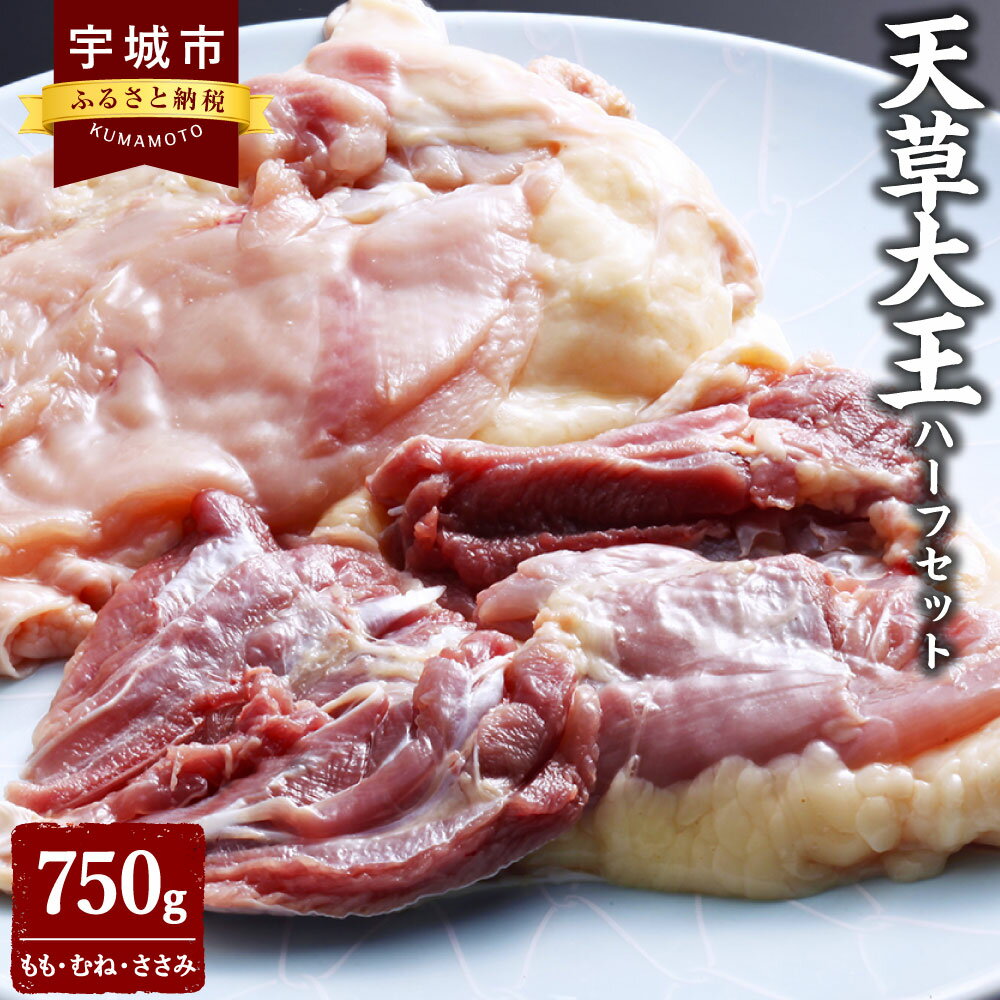 天草大王 ハーフセット 750g ミックス(もも、むね、ささみ) お肉 鶏肉 とりもも とりむね 胸肉 ささみ 国産 九州産 熊本県産 天草 地鶏 BBQ 冷凍 送料無料