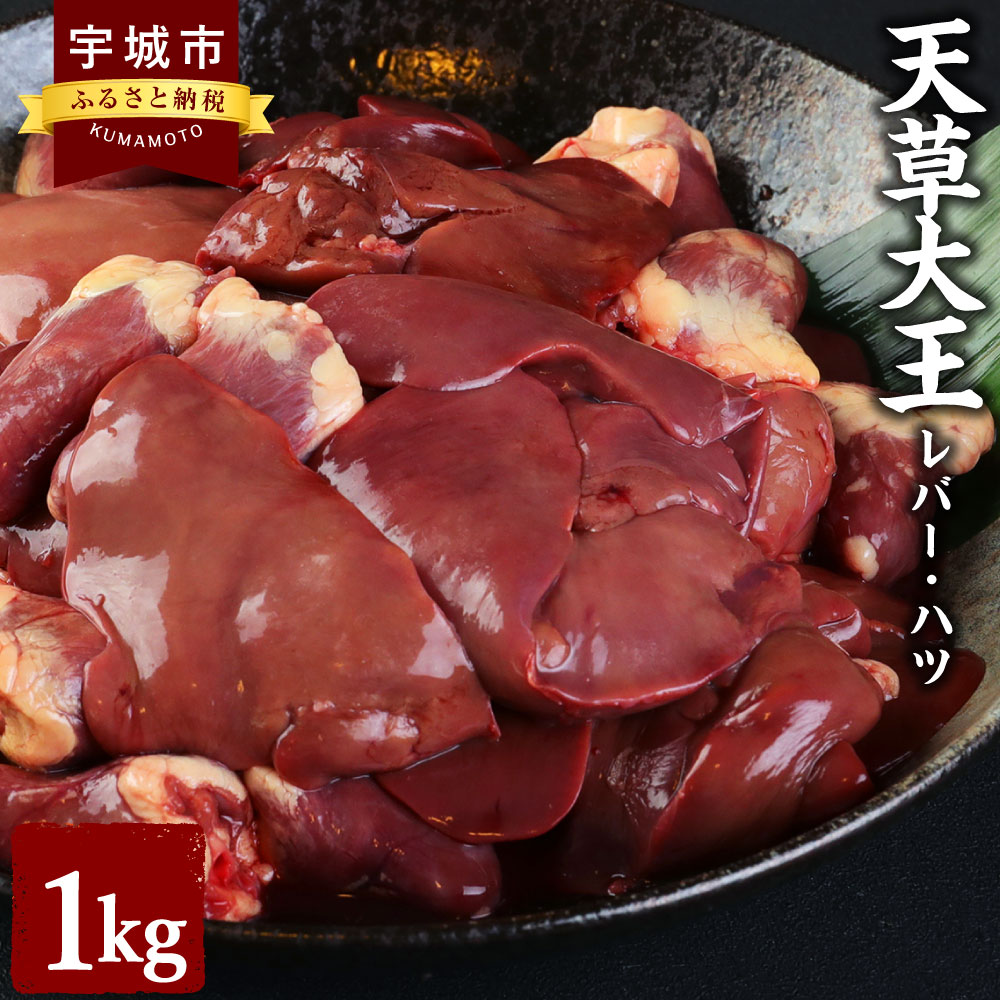 【ふるさと納税】天草大王 レバー・ハツ 1kg お肉 鶏肉 
