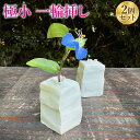 【ふるさと納税】極小 一輪挿し 2個セット 手の平サイズ
