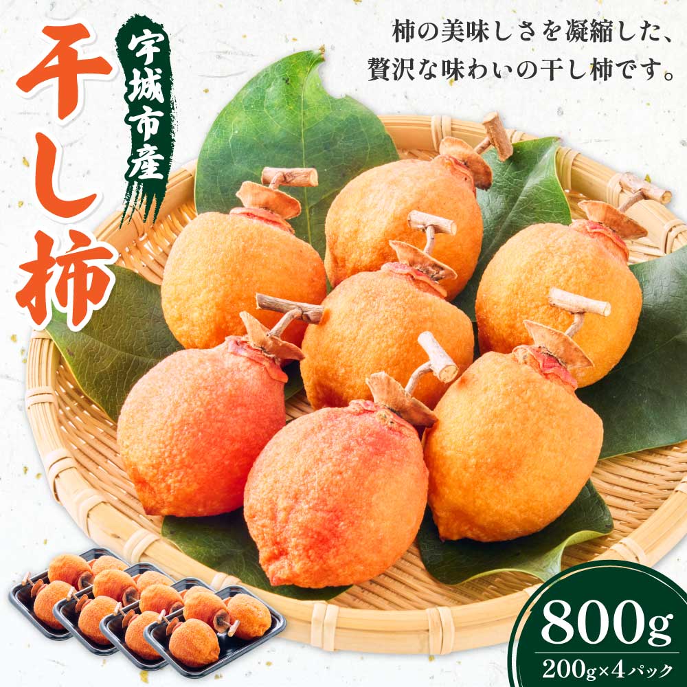 熊本県宇城市の画像2