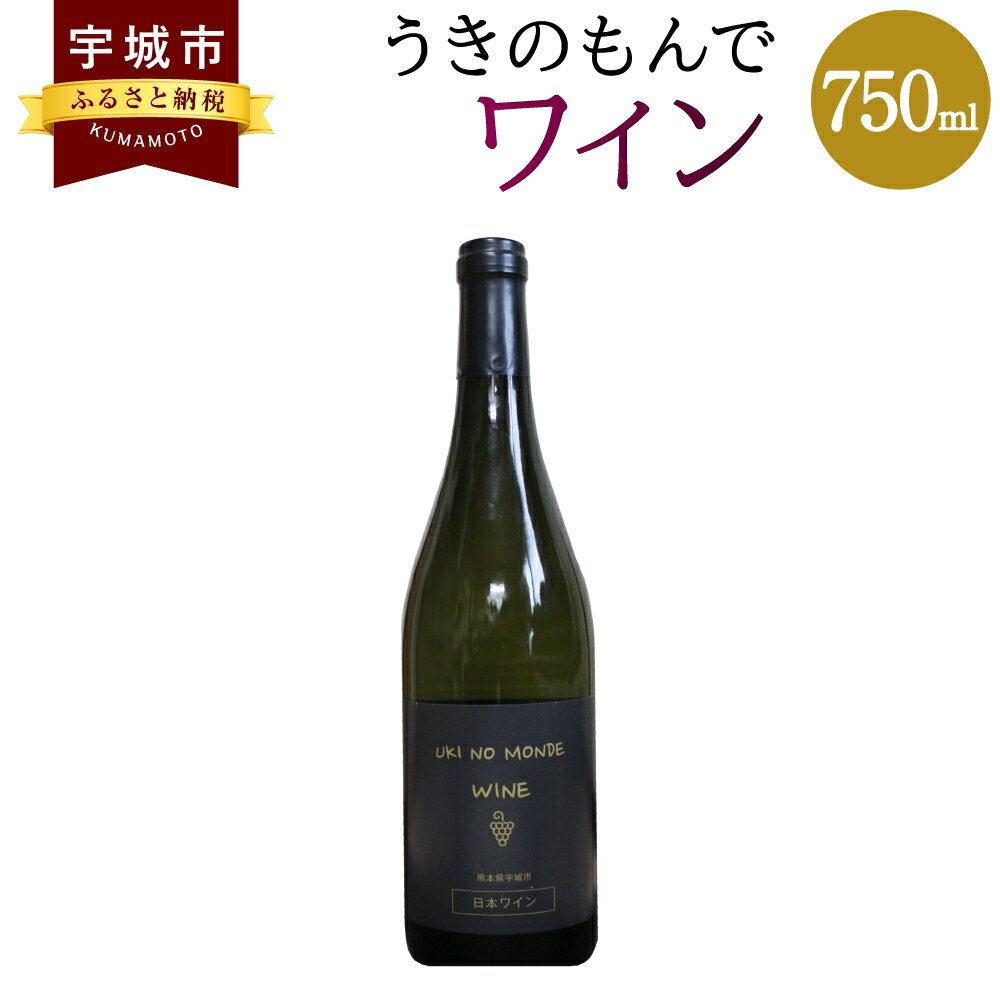 うきのもんでワイン 赤 750ml 1本 宇城市産 熊本県産 国産 赤ワイン お酒 フルーティー 甘い香り 送料無料