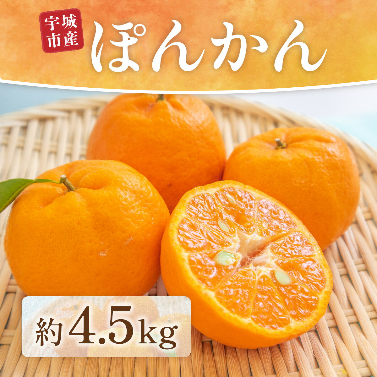 [先行予約] ぽんかん 約4.5kg [2026年1月中旬頃から順次発送予定] ポンカン みかん ミカン オレンジ 蜜柑 果物 柑橘 フルーツ くだもの 熊本 九州産 薄皮 甘い 食べやすい むきやすい ビタミンC 家庭用 自宅用 国産 くまふる エフビーネット