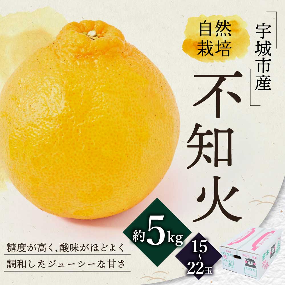 熊本県宇城市の画像2