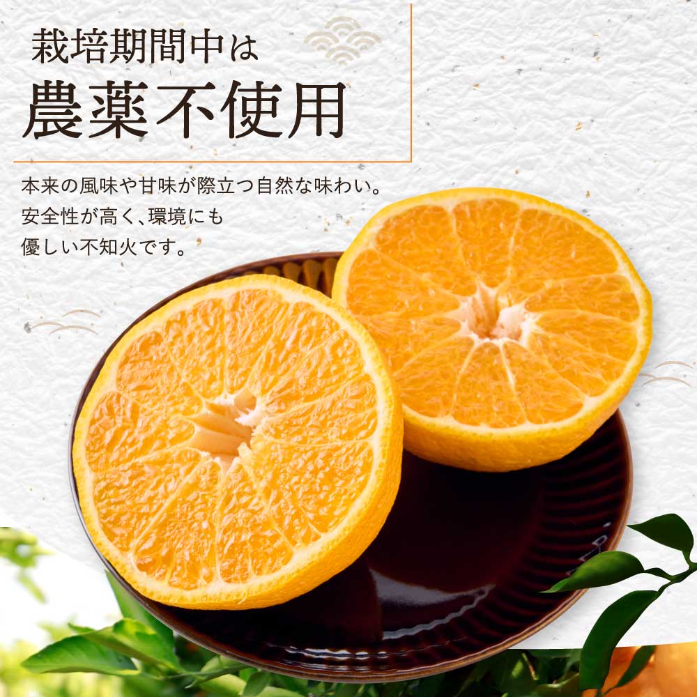 熊本県宇城市の画像3