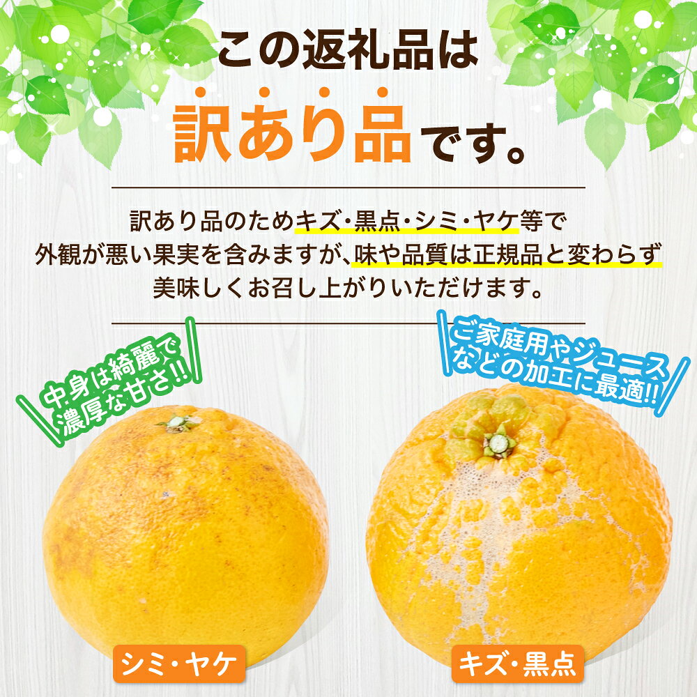 【ふるさと納税】【選べる内容量】 訳あり 不知火 約3kg（7〜12玉）もしくは 約5kg（15〜22玉） 【2026年3月上旬~2026年4月上旬頃発送予定】 しらぬい みかん 蜜柑 柑橘 お取り寄せ 国産 九州 熊本県 宇城市 株式会社la Nui.