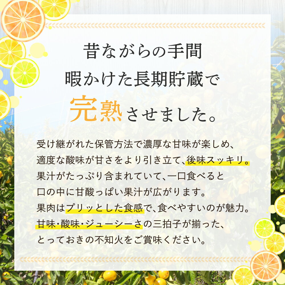 熊本県宇城市の画像2