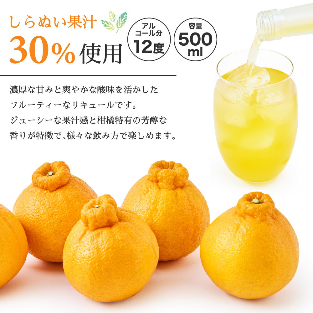 熊本県宇城市の画像3