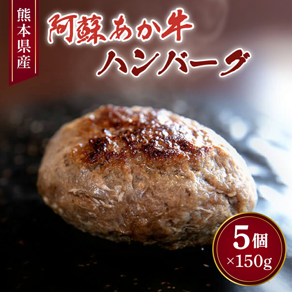 【ふるさと納税】阿蘇あか牛 ハンバーグ 150g×5個 計750g あか牛 赤牛 牛肉 牛肉100% 国産牛 和牛 冷凍 簡単調理 お取り寄せ グルメ 九州 熊本県 宇城市 送料無料