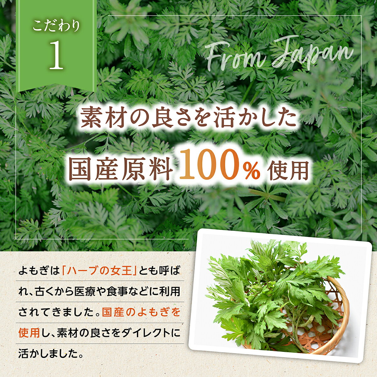 熊本県宇城市の画像3