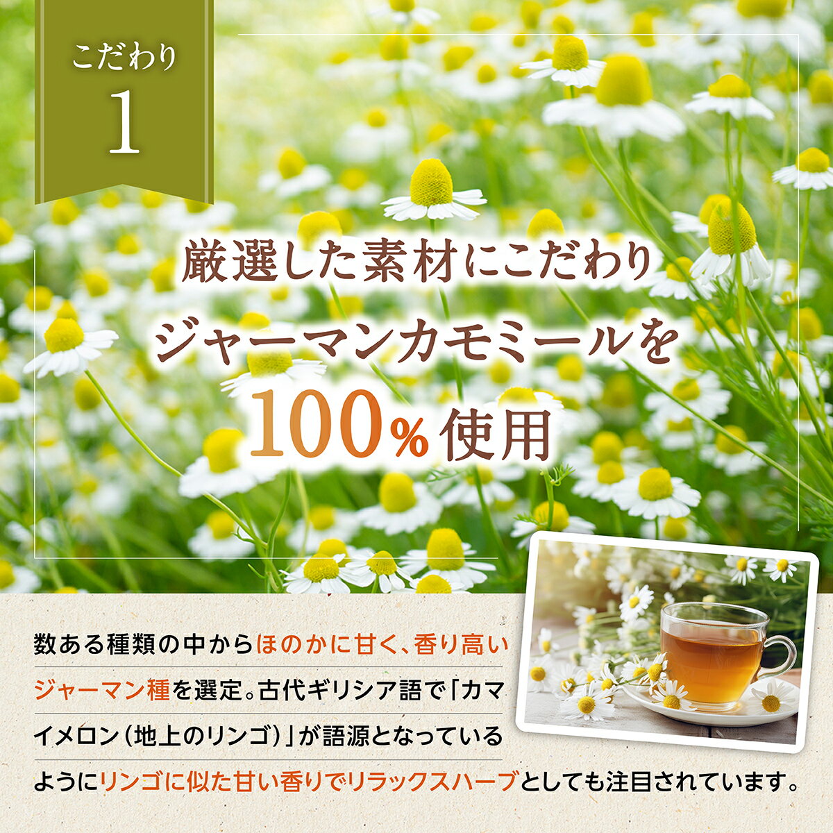 熊本県宇城市の画像3