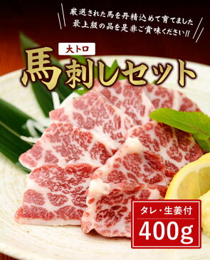 【ふるさと納税】馬刺しセット 大トロ 400g 馬肉 送料無料 霜降り