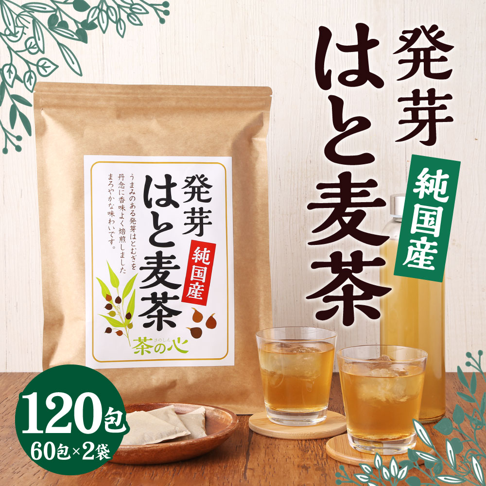 【ふるさと納税】国産 はと麦茶 120包 ( 60包×2袋 ) 麦茶 むぎ茶 ハトムギ茶 はとむぎ茶 鳩麦茶 ヨクイニンハトムギ お湯出し 水出し お茶 ティーバック お茶パック 健康 飲料 宇城市 熊本県 送料無料