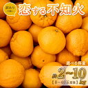 【ふるさと納税】【先行予約】訳あり 不知火 恋する不知火 選べる容量 (約2kg/7.5kg/10kg) 8〜40玉 【2025年4月上旬から2025年6月下旬...