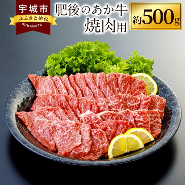 【ふるさと納税】肥後のあか牛 焼肉用 約500g 熊本県産 和牛 肉 お肉 牛肉 焼き肉 焼肉 赤牛 九州産 国産 冷凍 送料無料