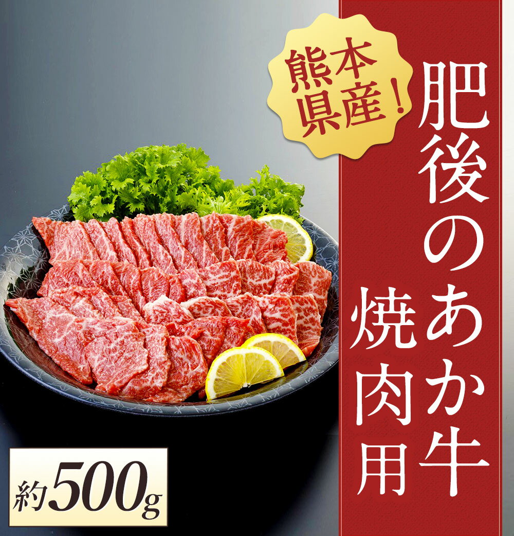 【ふるさと納税】肥後のあか牛 焼肉用 約500g 熊本県産 和牛 肉 お肉 牛肉 焼き肉 焼肉 赤牛 九州産 国産 冷凍 送料無料