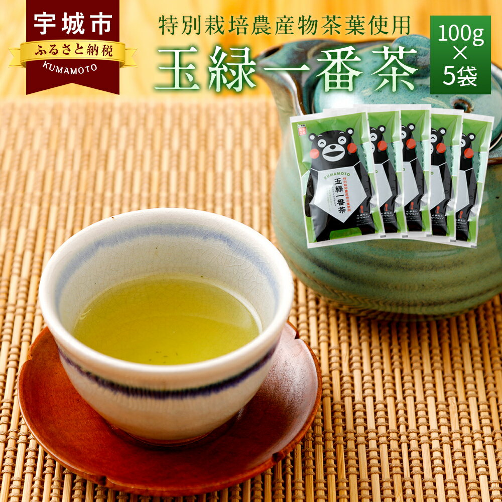 くまモン 玉緑一番茶 100g×5袋セット 緑茶 日本茶 一番茶 農薬を使わず栽培した茶葉 送料無料