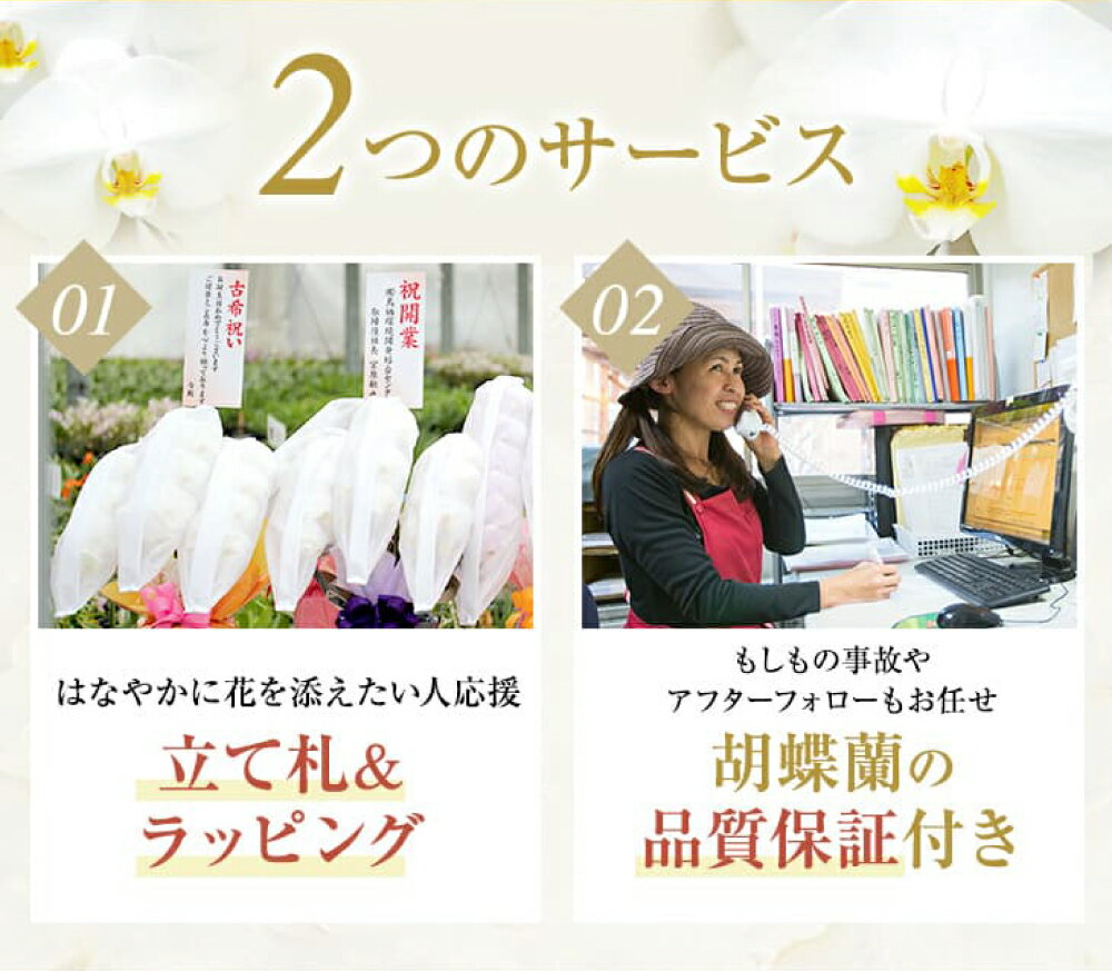 熊本県宇城市の画像3