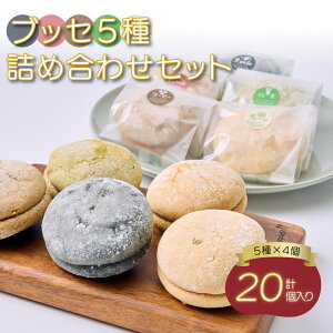 【ふるさと納税】 ブッセ 5種 詰め合わせ セット 合計20個入り 5種類 各4個 宮崎誠昌堂有限会社