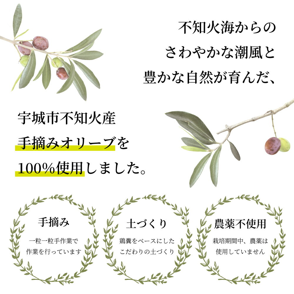 熊本県宇城市の画像2