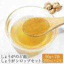 【ふるさと納税】 しょうが のど飴 シロップ セット 80g×2袋 200ml×2本 中島農園