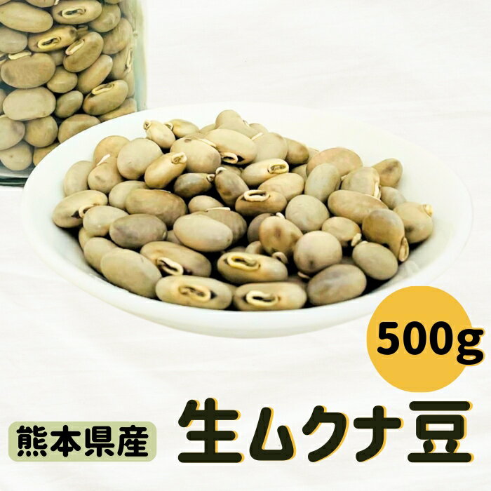 熊本県宇城市の画像2