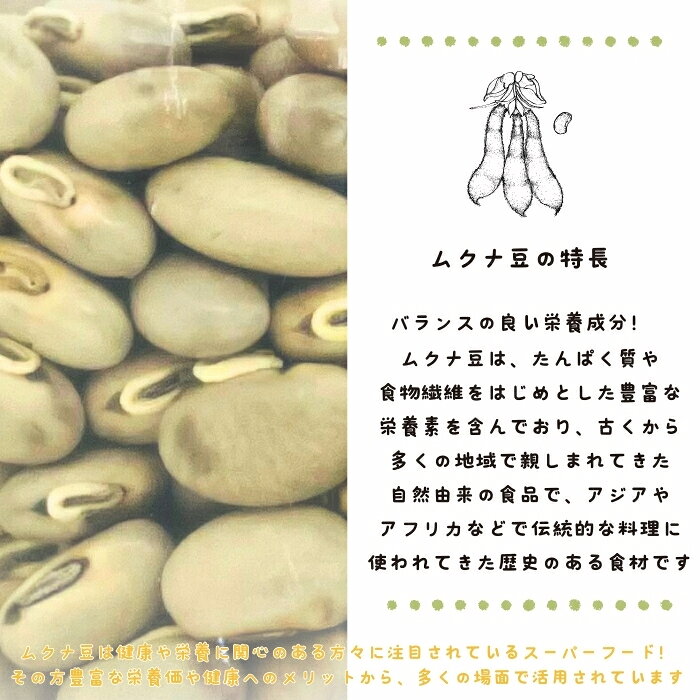 熊本県宇城市の画像3