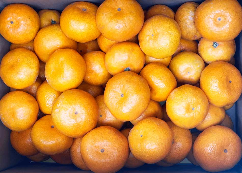 熊本県宇城市の画像2