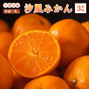 【ふるさと納税】先行予約 宇城市産 汐風みかん 等級「秀」約3kg のむちゃん農園 15〜20玉前後 みかん ミカン 蜜柑 柑橘 フルーツ 果物 くだもの 熊本...
