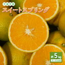 【ふるさと納税】先行予約 宇城市産 スイートスプリング 約5kg のむちゃん農園 15〜20玉前後 柑橘 フルーツ 果物 くだもの 熊本県産 九州産 国産 送料...