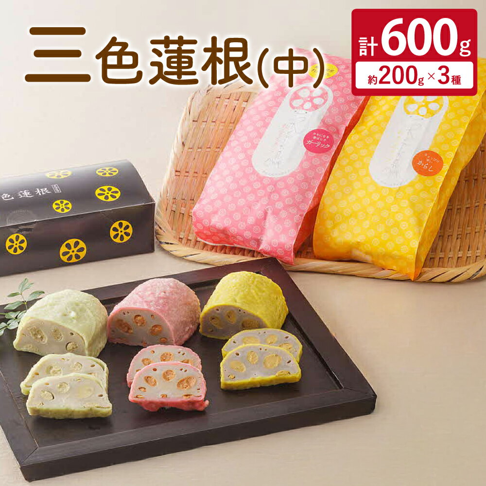 【ふるさと納税】三色蓮根（中）約200g×3本 計600g 3種 からし蓮根 わさび蓮根 さくら蓮根 れんこん 蓮..