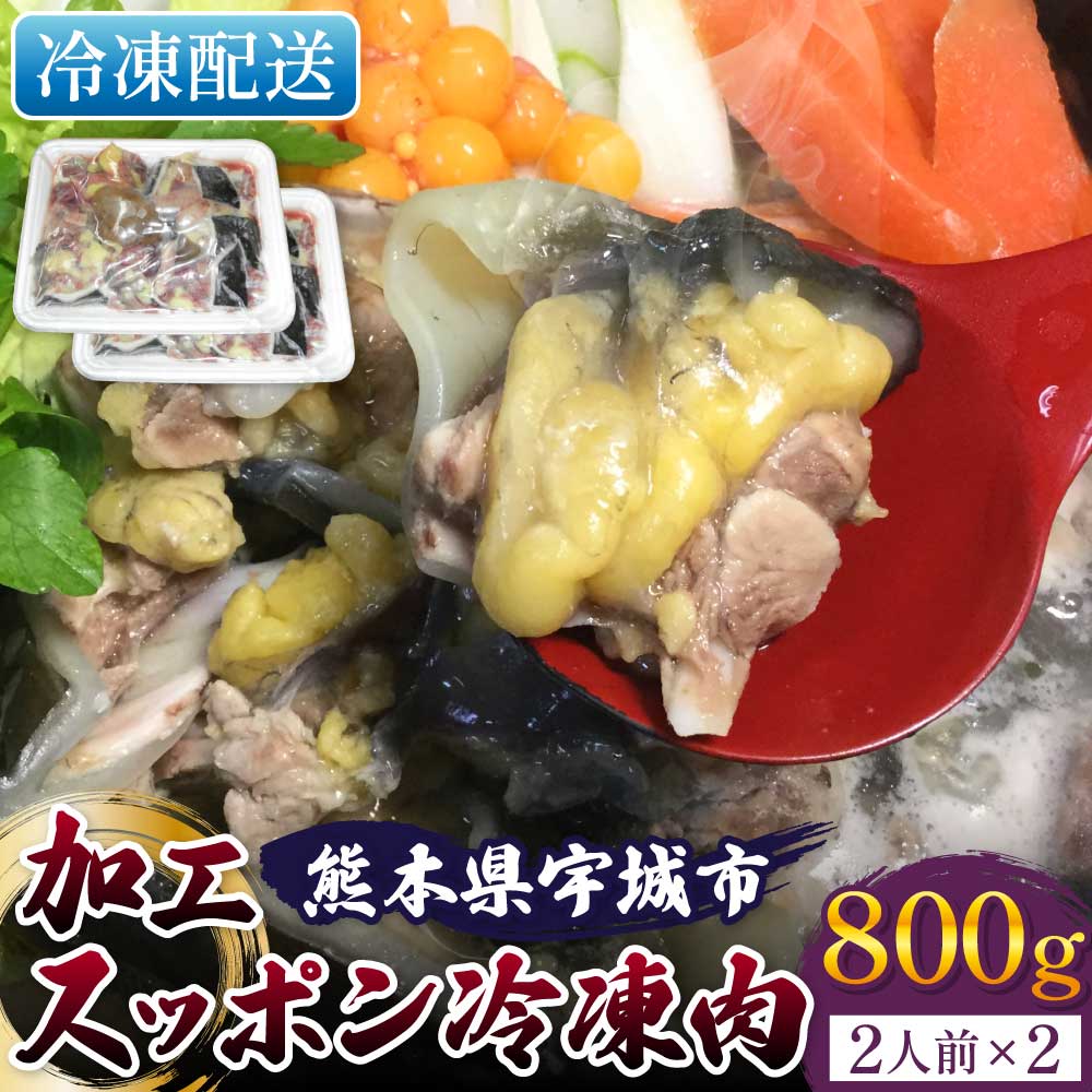 熊本県宇城市の画像2