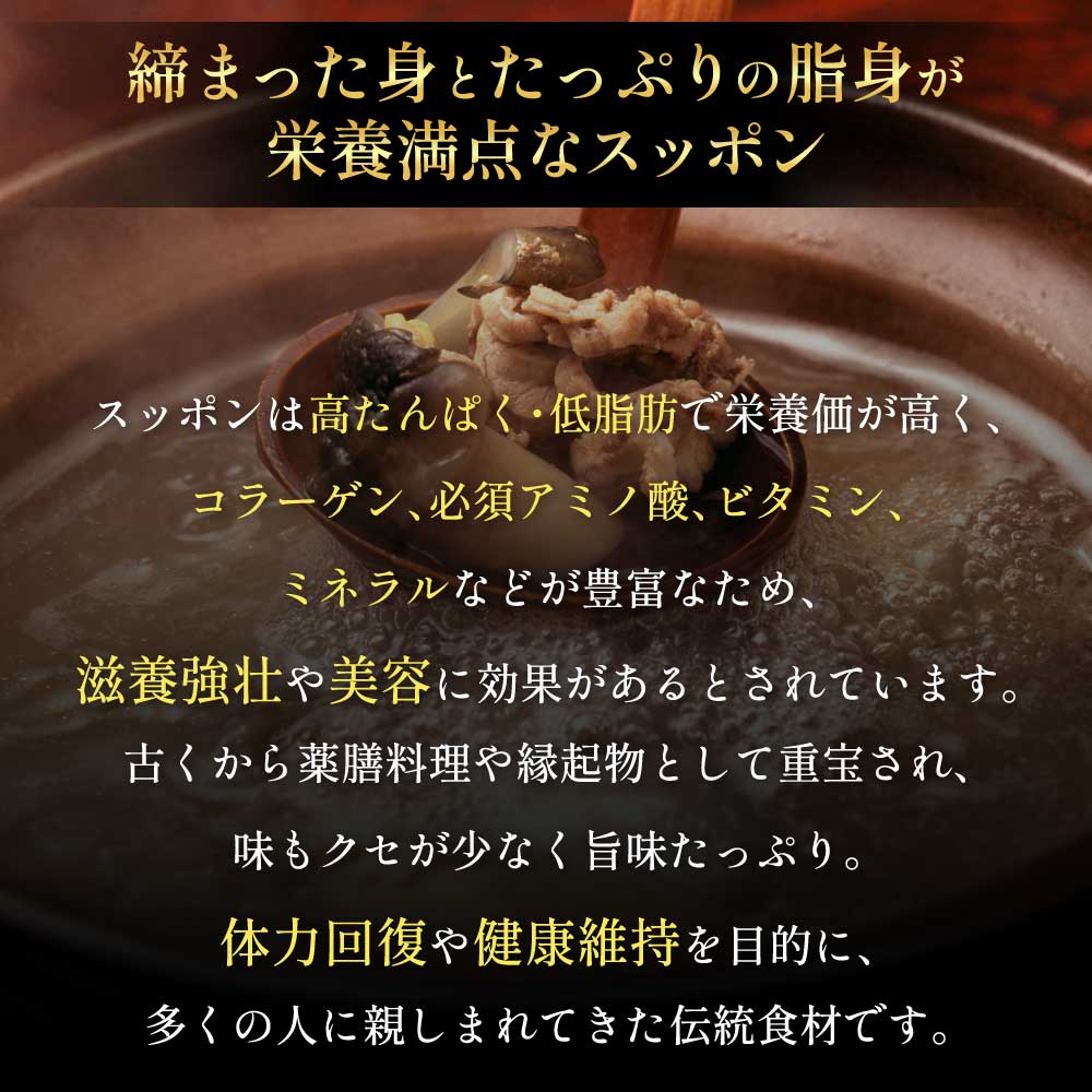 熊本県宇城市の画像3