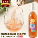 【ふるさと納税】汐風しらぬいワイン 750ml 1本 ワイン 熊本県不知火産巨峰使用 アルコール 9度 お酒 酒 アルコール ぶどう酒 飲料 不知火町 熊本県産 国産 送料無料