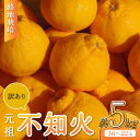 【ふるさと納税】路地栽培 元祖不知火訳あり品 約5kg 16-22玉 不揃い 【2025年3月上旬から6月上旬発送予定】
