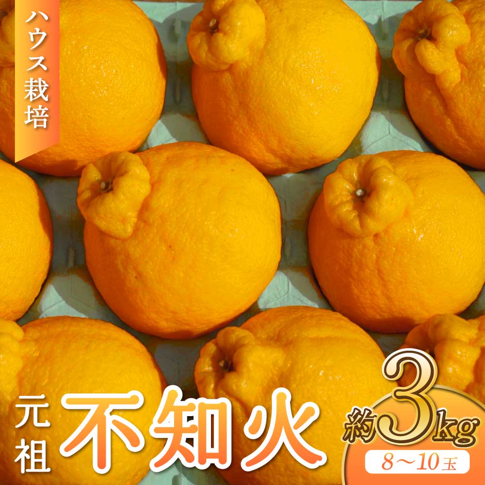 【ふるさと納税】ハウス栽培 元祖不知火 約3kg 8-10玉 【2025年3月上旬から6月上旬発送予定】