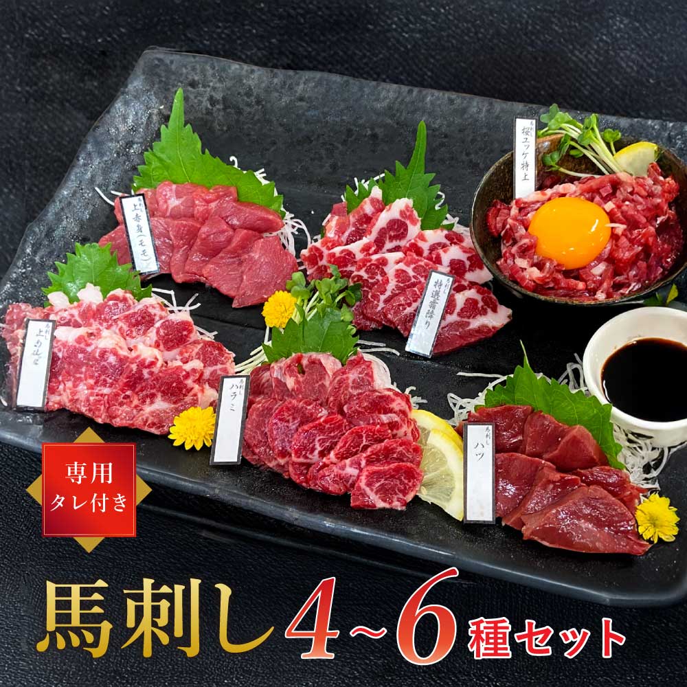 馬刺しセット[選べる種類]4種 5種 6種 1ブロック45g〜50g 8〜10切れ 約1人前 馬刺し 熊本 馬刺 国産 ギフト 肉 馬肉 グルメ おつまみ 晩酌 内祝い お歳暮 御歳暮 熊本県 宇城市 大阪馬肉屋TMP