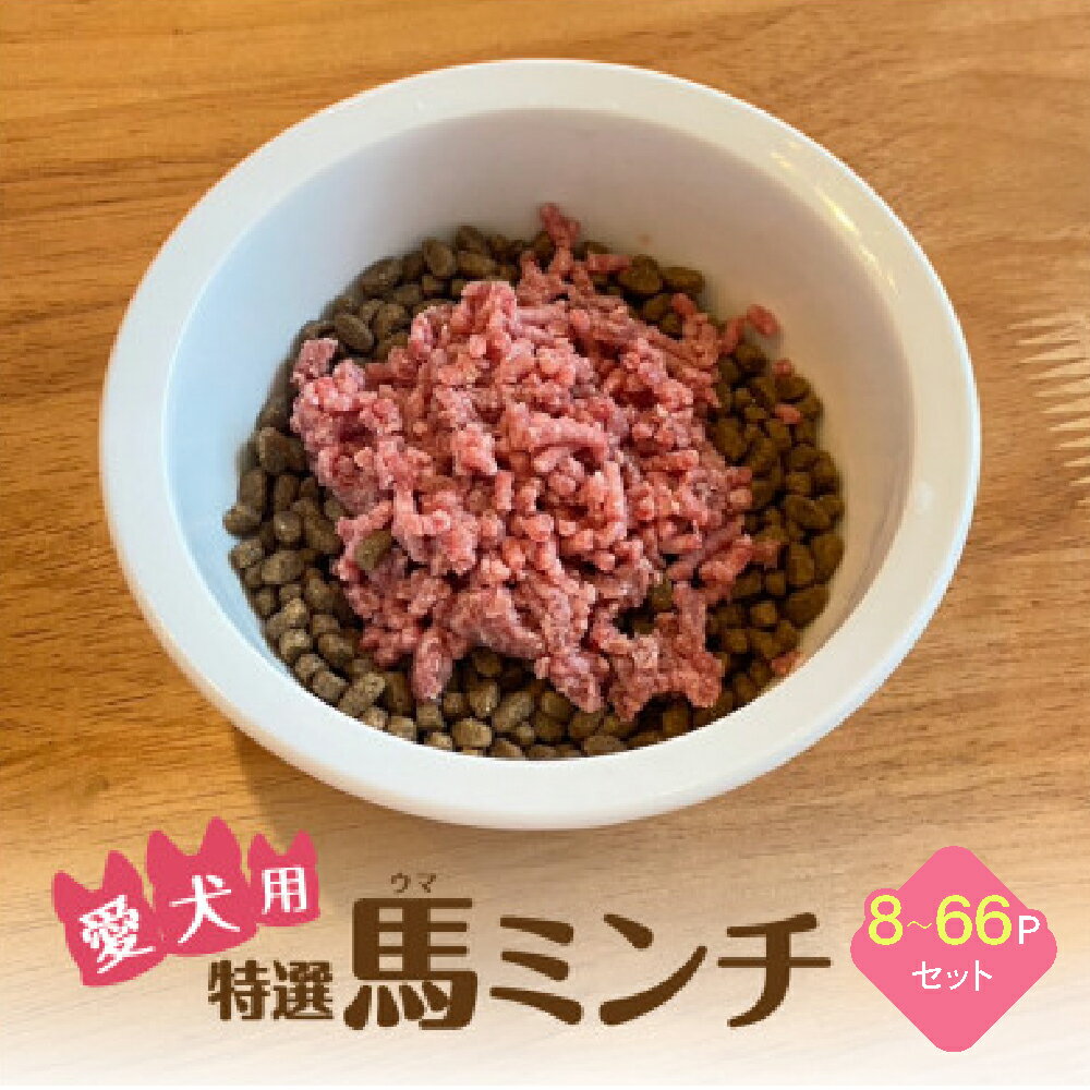 特選馬ミンチ45g 8〜66パックセット ワンちゃん大喜び 馬肉ミンチ 犬用ミンチ 冷凍ミンチ 高タンパク 栄養満点 小分けパック 選べるセット容量 熊本県 宇城市 大阪馬肉屋TMP