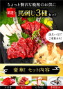 【ふるさと納税】国産 熊本馬刺し 厳選3種 食べ比べセット 合計600g 専用醤油付き 赤身 馬ヒレ たてがみ 馬刺し 馬肉 刺身 肉 赤身 セット 食べ比べ 詰め合わせ 冷凍 送料無料 2